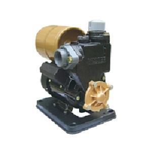 Wasser Pompa Air Type PW-139 EA